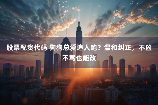股票配资代码 狗狗总爱追人跑？温和纠正，不凶不骂也能改
