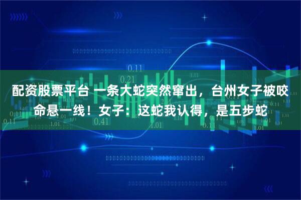 配资股票平台 一条大蛇突然窜出，台州女子被咬命悬一线！女子：这蛇我认得，是五步蛇